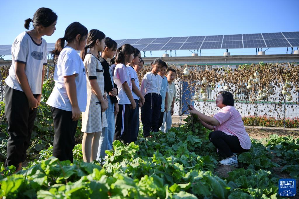 捕鱼游戏网页在线